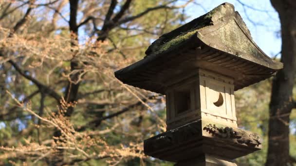 Linterna Detrás Del Árbol Foco Profundo Santuario Hikawa Nerima Santuario — Vídeo de stock