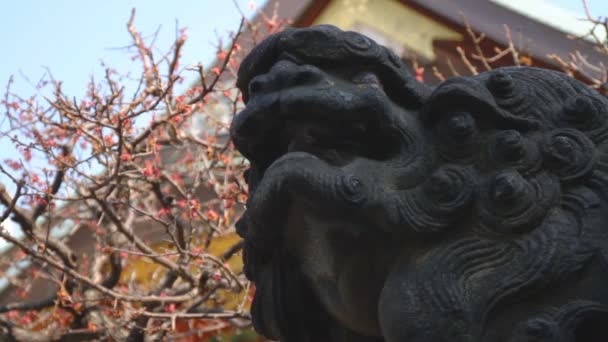 Yushima Sanktuarium Gardian Pies Lew Chiński Zamknąć Strzał Ueno Tokio — Wideo stockowe