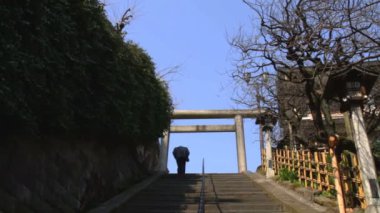 Tokyo'daki Ueno Yushima tapınak yakın uzun atış. Onun Tokyo geleneksel bir tapınak. fotoğraf makinesi: Canon Eos 7d