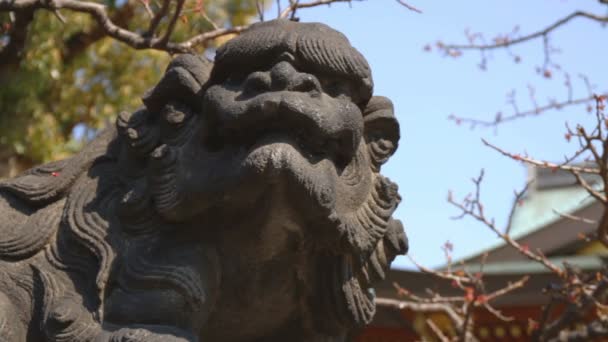 湯島神社ガーディアンフォース犬狛犬接近している発砲上野の左側します その東京の伝統的な神社 カメラ キヤノン Eos — ストック動画