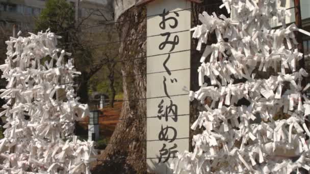 Yushima Shrine Fortuna Medio Tiro Ueno Tokio Santuario Tradicional Tokio — Vídeos de Stock