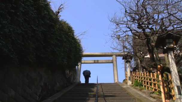 東京上野湯島神社鳥居のロング ショット その東京の伝統的な神社 カメラ キヤノン Eos — ストック動画
