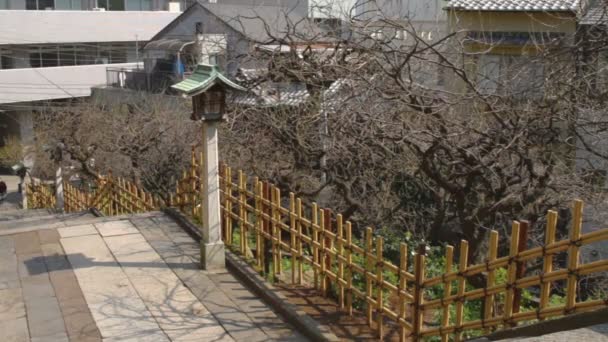Лестница Святилища Юсима Включая Фонарь Уэно Традиционная Святыня Токио Камера — стоковое видео
