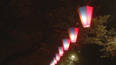  Kiraz çiçeği ile fener gece sürüm orta ateş Harimazaka. Onun Tokyo'da bir kiraz çiçeği. fotoğraf makinesi: Canon Eos 7d