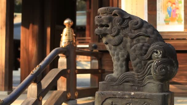 Guardian Dog Komainu Concentró Profundamente Santuario Igusa Hachiman Tokio Cámara — Vídeos de Stock