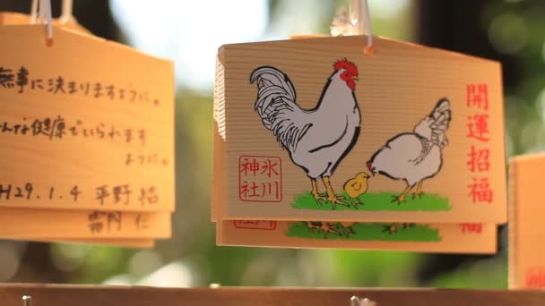 Hikawa Tapınağı Ema Nerima Içinde Tavuk Tam Atış Kamera Canon — Stok video