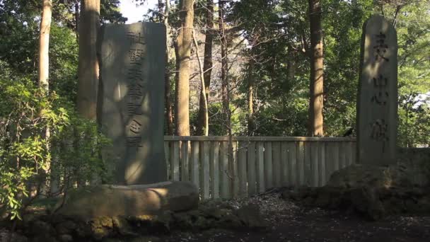 Tumbas Del Santuario Hikawa Tiro Completo Santuario Hikawa Nerima Cámara — Vídeos de Stock