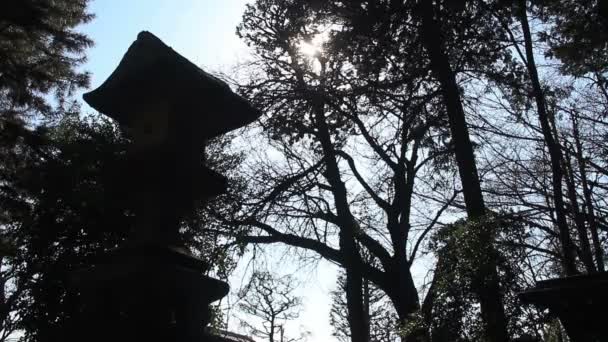 Lanterna Santuário Hikawa Atrás Árvore Santuário Hikawa Nerima Câmera Canon — Vídeo de Stock