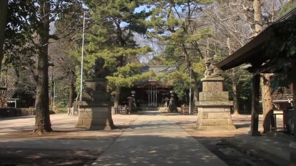 Hikawa Santuario Entrada Principal Amplio Tiro Santuario Hikawa Nerima Cámara — Vídeo de stock