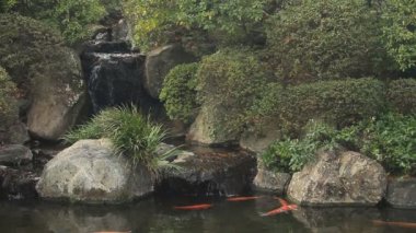 Nezu türbe bazı carps göle yakın Tokyo standart odak çekim / fotoğraf makinesi: Canon Eos 7d