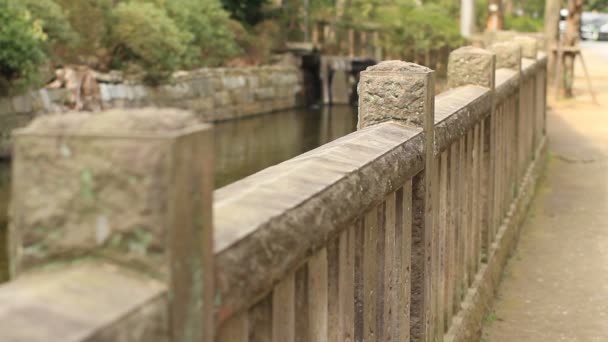 Nezu Shrine Lake Shallow Focus Close Shot Tokyo Camera Canon — Stock Video