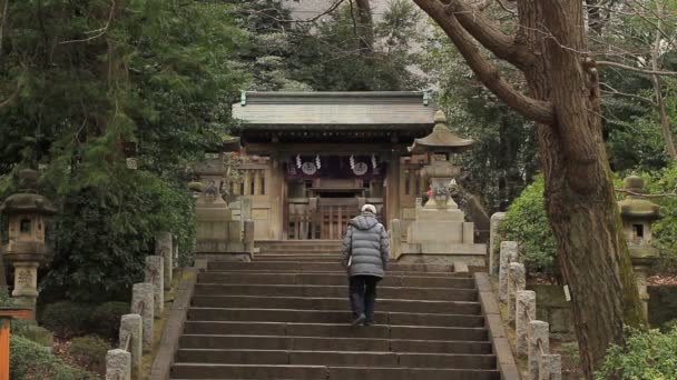 東京のロング ショットの標準のフォーカスの根津神社階段 カメラ キヤノン Eos — ストック動画