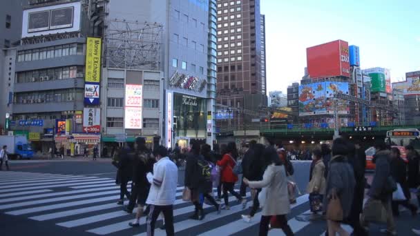 Lidé Křížení Křižovatce Shinjuku Široký Záběr Fotoaparát Canon Eos — Stock video