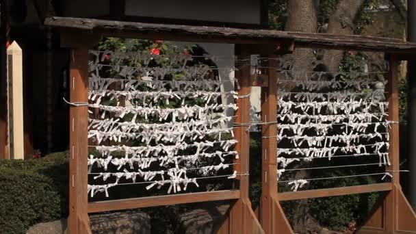 Randomu Szerencse Omikuji Közel Lövés Zojoji Temple Fényképezőgép Canon Eos — Stock videók