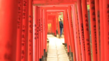 Torii Nezu, tünel gibi türbe Tokyo geniş çekim merkezi odakta / fotoğraf makinesi: Canon Eos 7d