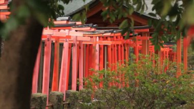 Torii Nezu tünel sağ tarafta gibi türbe Tokyo ihtimal standart odakta / fotoğraf makinesi: Canon Eos 7d
