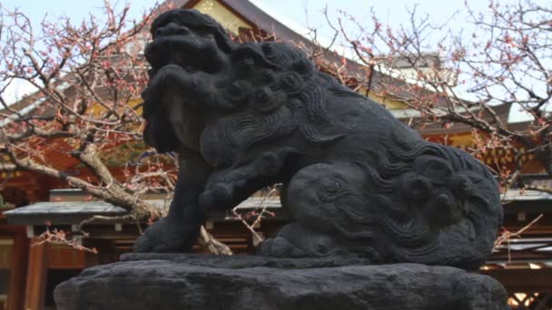 Yushima Shrine Perro Gardiano Komainu Tiro Completo Ueno Cámara Canon — Vídeo de stock