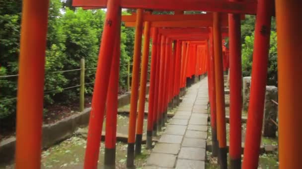 ジンバルは 根津神社の深いフォーカスで鳥居を撮影します その東京の伝統的な場所 — ストック動画