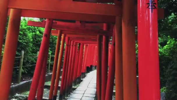 Gimbal Sköt Slowmotion Nära Shrine Nezu Shrine Dess Traditionell Plats — Stockvideo