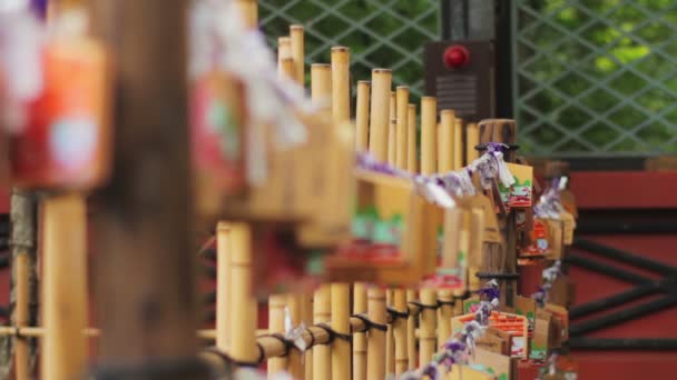 Muchas Tabletas Votivas Santuario Nezu Amplio Tiro Nuevo Enfoque Poco — Vídeo de stock