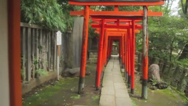 東京湯島のジンバルで根津神社で鳥居を撮影しました その東京の伝統的な場所 — ストック動画