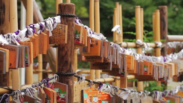 Tabletas Votivas Santuario Nezu Una Ubicación Tradicional Tokio — Vídeos de Stock