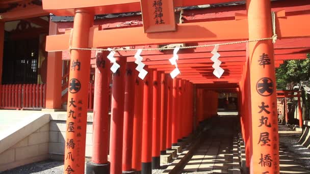 Santuário Anamoriinari Torii Tiro Meio Haneda Câmera Canon Eos — Vídeo de Stock