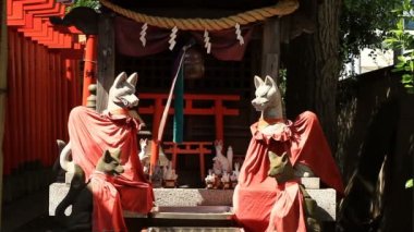 Koruyucu Anamoriinari tapınak Haneda orta çekimde Fox'da. Onun Tokyo geleneksel bir tapınak. fotoğraf makinesi: Canon Eos 7d