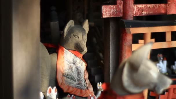 Guardian Fox Haneda Anamoriinari Helgedom Grunt Bakfokus Dess Traditionell Helgedom — Stockvideo