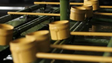 HIE tapınak Akasaka ortada, Chozuya vurdu geri sığ odak / onun Tokyo geleneksel bir konumda. . fotoğraf makinesi: Canon Eos 7d