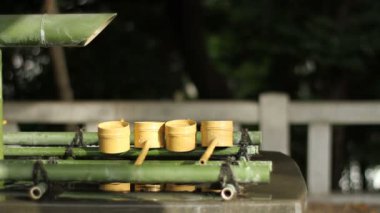 Chozuya HIE tapınak sola göre konum orta, sığ odak vurdu. / Onun Tokyo geleneksel bir konumda. . fotoğraf makinesi: Canon Eos 7d
