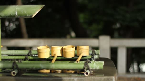 Chozuya Внз Shrine Лівого Положення Середнього Вистрілив Дрібної Фокус Своїм — стокове відео
