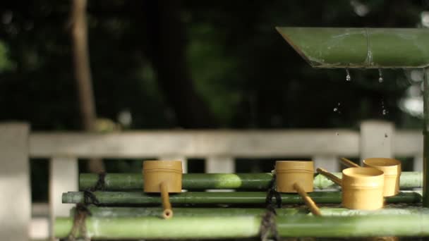 Chozuya Santuário Hie Lado Direito Tiro Médio Foco Raso Uma — Vídeo de Stock