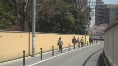 Tokyo Kanda Nehri yakınında sokak. / Nerima ku Tokyo/Japonya - 04.08 2017: onun Tokyo'da bir kiraz çiçeği. fotoğraf makinesi: Canon Eos 7d
