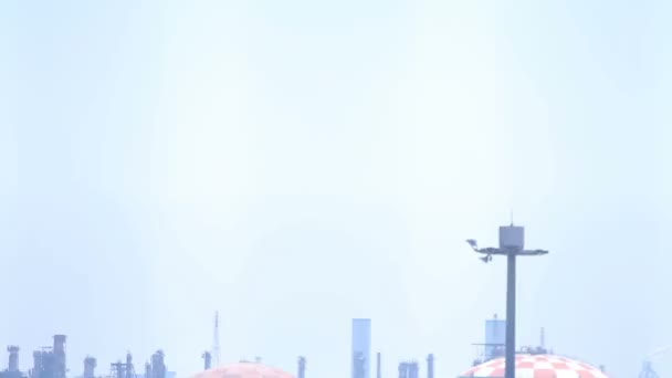 Letící Shanghai Letadlo Dlouhý Záběr Haneda Jeho Umístění Města Tokiu — Stock video