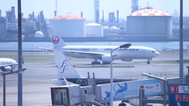 Flygplats Långskott Djupa Fokus Haneda Dess Ett Läge Tokyo Kamera — Stockvideo