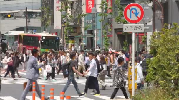 Σιμπούγια Διέλευση Διάνοια Βαθιάς Εστίαση Περιοχή Shibuya Στο Τόκιο Φωτογραφική — Αρχείο Βίντεο