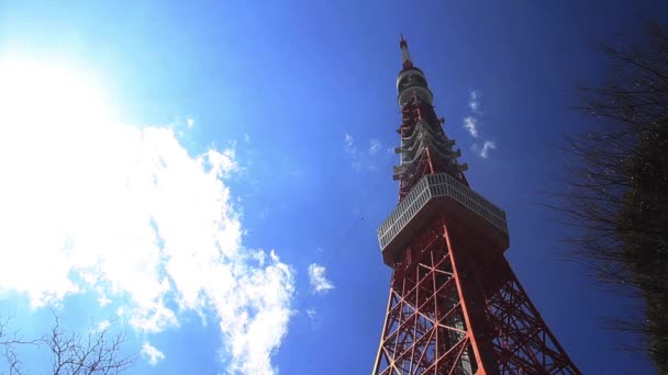 Torre Tóquio Posição Direita Tiro Médio Sua Localização Tóquio Câmera — Vídeo de Stock