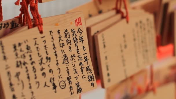 Αιμα Στο Ιερό Hanazono Σιντζούκου Μια Πόλη Τοποθεσία Στο Τόκιο — Αρχείο Βίντεο