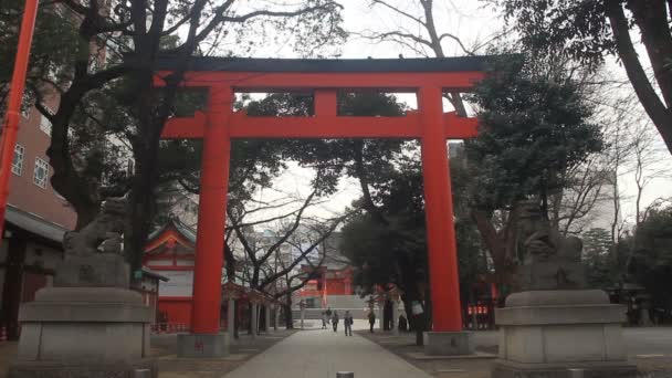 Torii Hanazono Svatyně Shinjuku Jeho Umístění Města Tokiu Čas Zanikla — Stock video