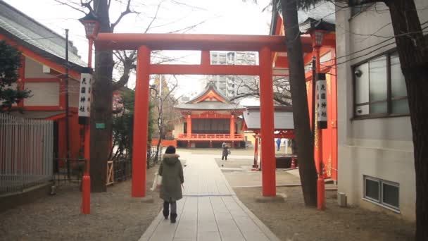 Torii Derrière Temple Sub Plan Complet Sanctuaire Hanazono Shinjuku Est — Video