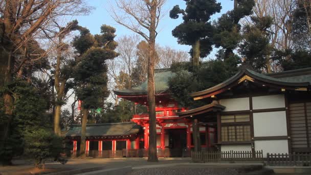 Entrésidan Bred Shot Djupa Fokus Rätt Igusa Hachiman Helgedom Tokyo — Stockvideo