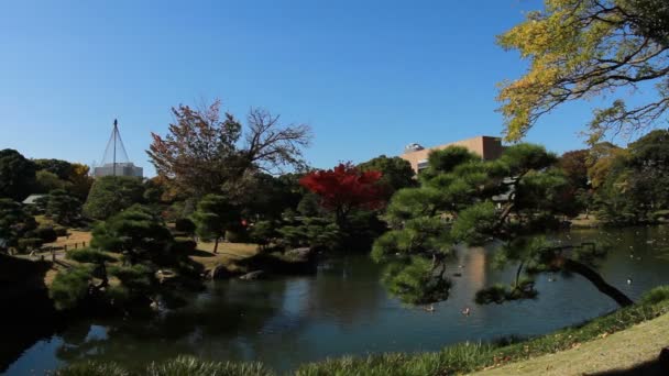 Японский Сад Киёсумисиракава Широкий Выстрел Традиционное Место Японии Камера Canon — стоковое видео