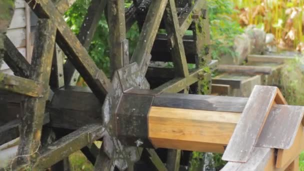 Watermolen Saitama Dicht Schot Ondiepe Focus Zijn Een Natuur Locatie — Stockvideo