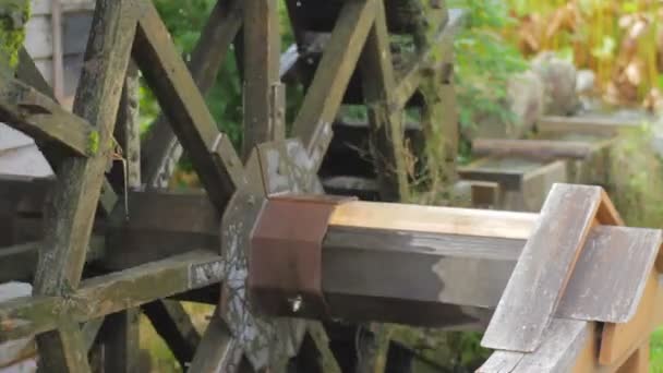 Watermolen Dicht Schot Ondiepe Focus Zijn Een Natuur Locatie Japan — Stockvideo