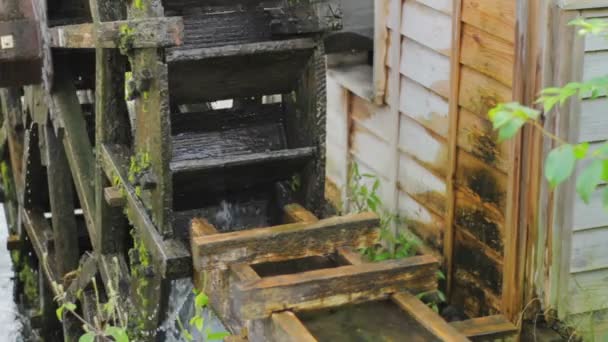 Moulin Eau Dans Parc Close Est Emplacement Naturel Japon Laps — Video