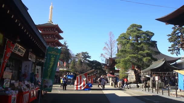 東京で金剛寺寺塔を含むメイン ストリート 東京で伝統的な場所 カメラ キヤノン Eos — ストック動画