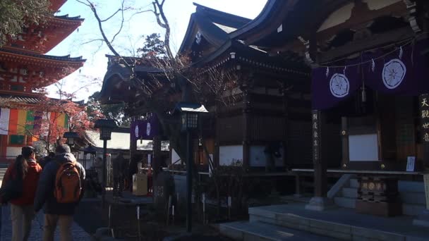 Sub Tempel Rechterkant Kongouji Tokio Diepe Focus Zijn Een Traditionele — Stockvideo