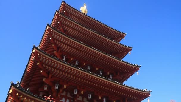 Turm Kongouji Tempel Tokio Links Nach Unten Kippen Ist Ein — Stockvideo