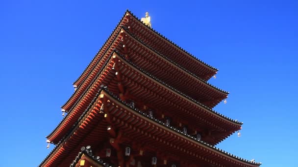 Topo Torre Lado Esquerdo Templo Kongouji Tóquio Uma Localização Tradicional — Vídeo de Stock